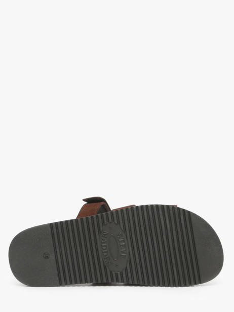 Sandals In Leather Steve madden Brown women 11003504 other view 4