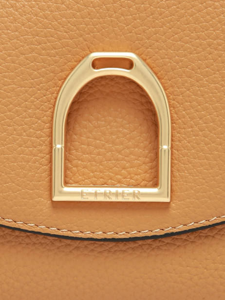 Sac Porté épaule Shadow Cuir Etrier Marron shadow ESHA163S vue secondaire 6