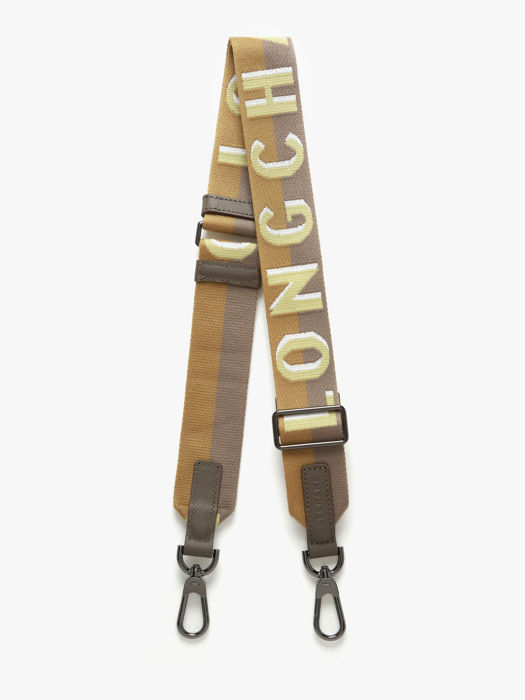 Longchamp Bandoulière ombrée Jewelry Green