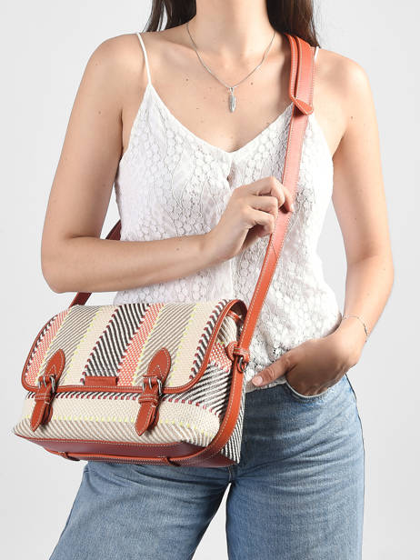 Raffia And Leather Loulou Crossbody Bag Paul marius Multicolor raphia LOULORAP other view 1
